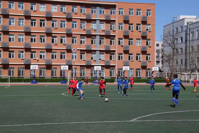 欧冠夺冠赔率:阿森纳1赔3.5优势大 巴萨反超曼城